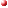 �ǿ�����